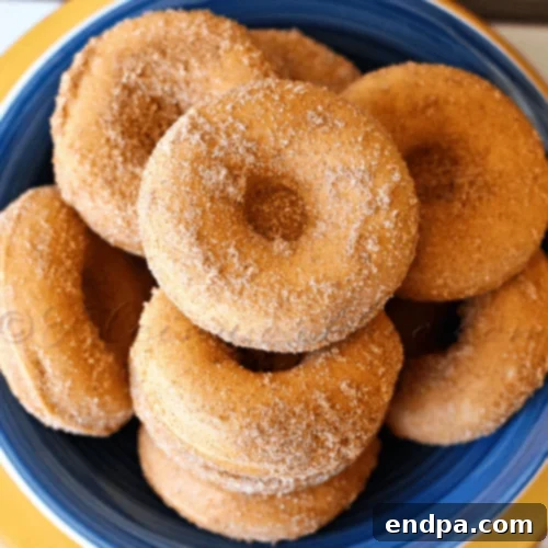 Baked Churro Donuts, coated in cinnamon and sugar, a healthier take on a classic.