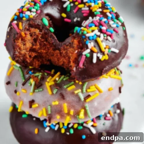 Protein Donuts, fluffy, cakey, and packed with over 12g of protein.