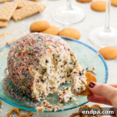 A festive Confetti Cookie Dough Ball, studded with colorful sprinkles and served with dippers.