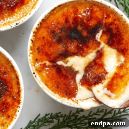Elegant Eggnog Creme Brulee served in ramekins with a perfectly caramelized sugar crust.