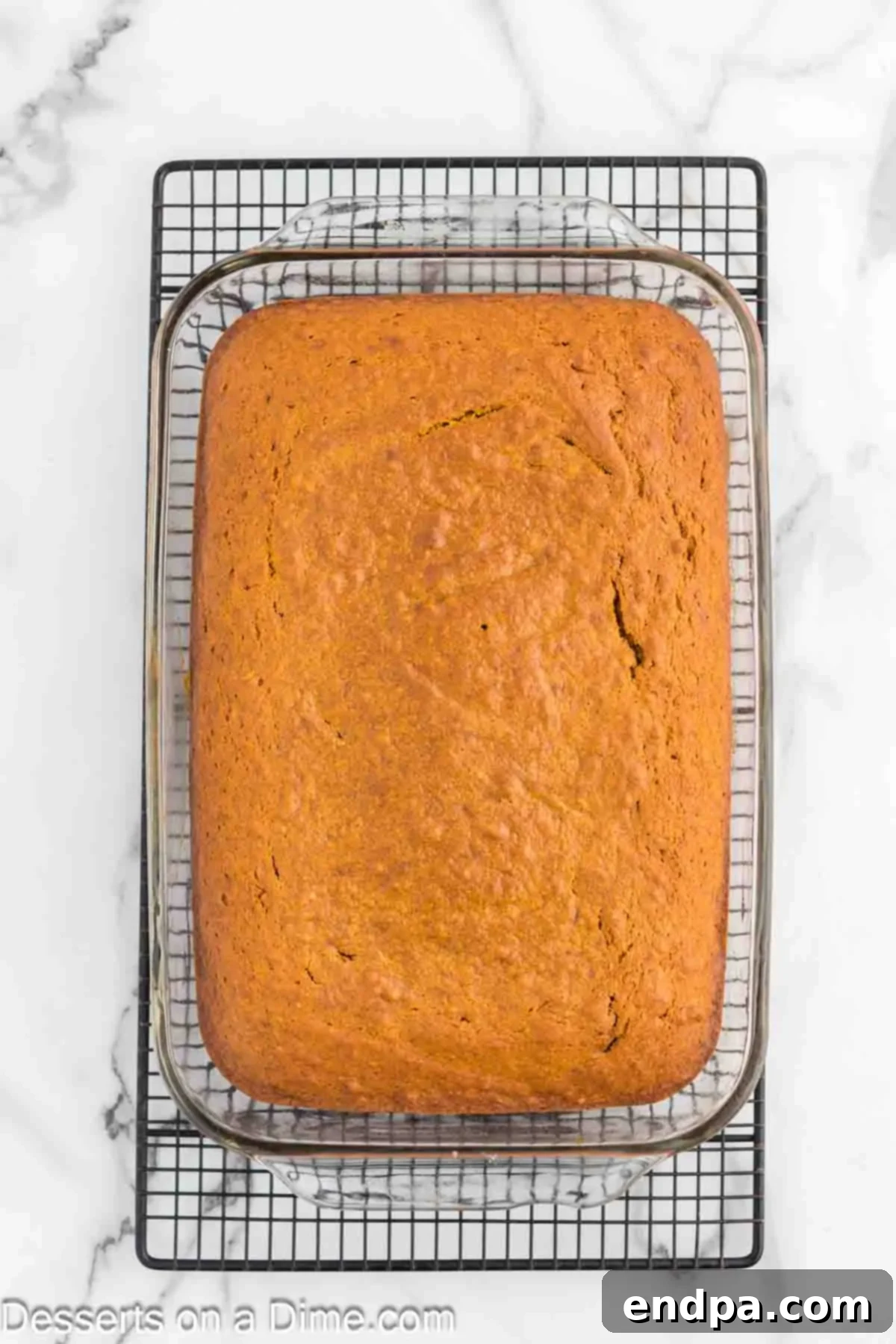 A freshly baked pumpkin cake, beautifully golden brown and perfectly risen, is depicted cooling within its 9x13 inch baking dish on a sturdy wire rack. The cake's surface is smooth, indicating proper baking and readiness for the next step.