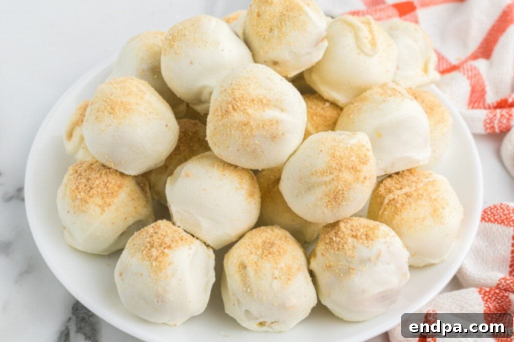 A beautifully arranged plate of pumpkin truffles, ready to be served.