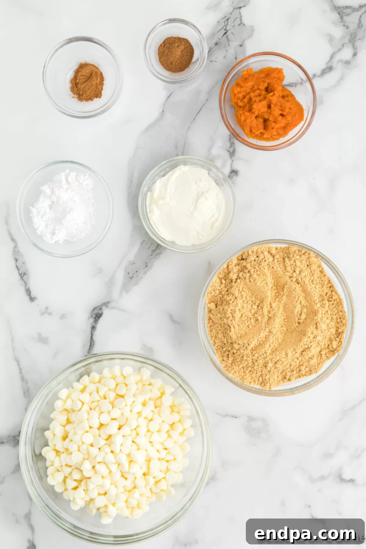 A selection of key ingredients for pumpkin truffles: cream cheese, powdered sugar, pumpkin puree, graham cracker crumbs, pumpkin pie spice, ground cinnamon, and white chocolate chips.