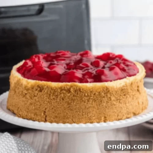 The Ultimate 89 Thanksgiving Cheesecake Collection 8 Air Fryer Cheesecake