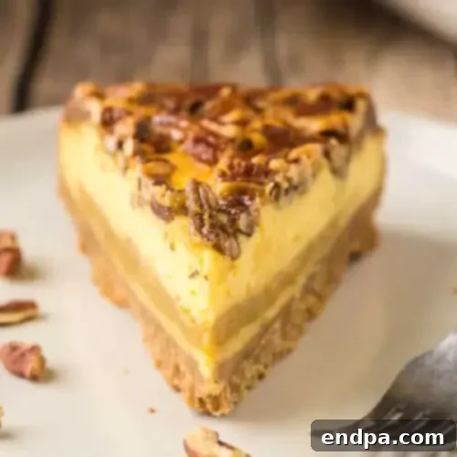The Ultimate 89 Thanksgiving Cheesecake Collection 3 Pecan Pie Cheesecake