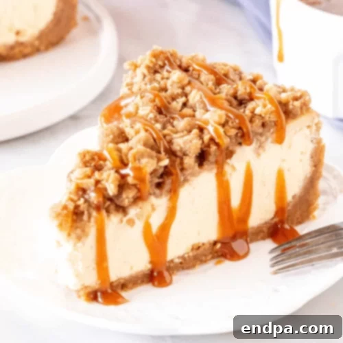 The Ultimate 89 Thanksgiving Cheesecake Collection 13 Apple Crisp Cheesecake