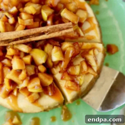 The Ultimate 89 Thanksgiving Cheesecake Collection 21 Apple Cinnamon Cheesecake