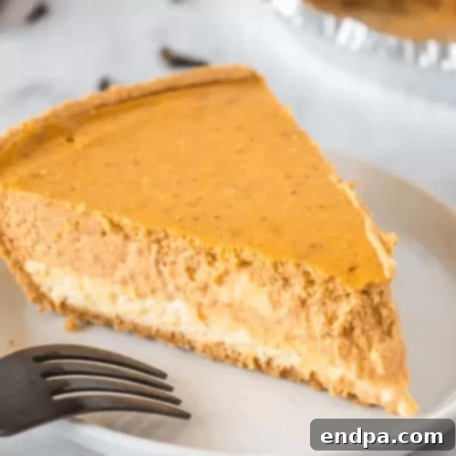 The Ultimate 89 Thanksgiving Cheesecake Collection 5 Pumpkin Cheesecake
