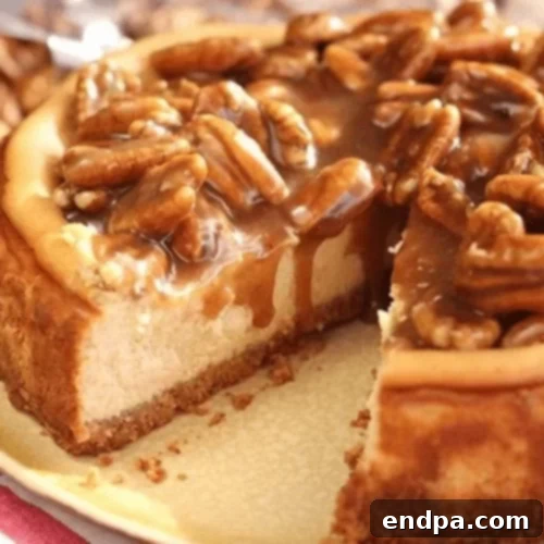 The Ultimate 89 Thanksgiving Cheesecake Collection 25 Caramel Pecan Cheesecake
