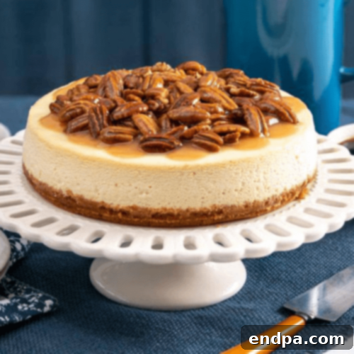 The Ultimate 89 Thanksgiving Cheesecake Collection 29 Honey Pecan Cheesecake