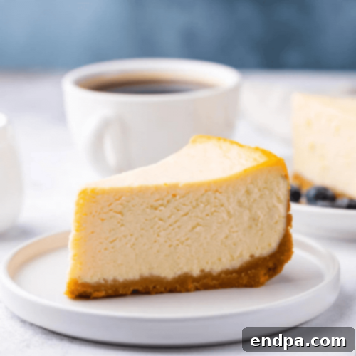 The Ultimate 89 Thanksgiving Cheesecake Collection 37 Classic New York-Style Cheesecake