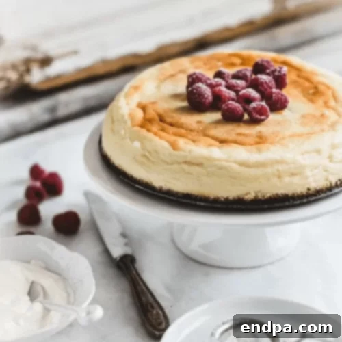 The Ultimate 89 Thanksgiving Cheesecake Collection 46 Italian Ricotta Cheesecake