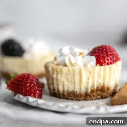 The Ultimate 89 Thanksgiving Cheesecake Collection 50 Mini Yogurt Cheesecakes