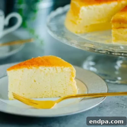 The Ultimate 89 Thanksgiving Cheesecake Collection 51 Japanese Cheesecake