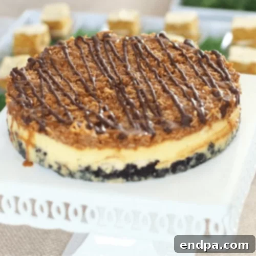 The Ultimate 89 Thanksgiving Cheesecake Collection 52 Caramel Coconut Cheesecake