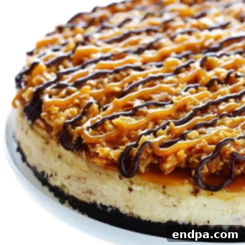 The Ultimate 89 Thanksgiving Cheesecake Collection 66 Samoa Cheesecake