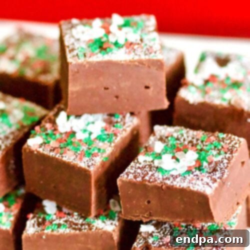 Sea Salt Chocolate Fudge