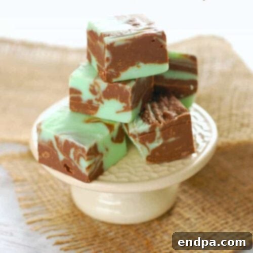Mint Chocolate Fudge