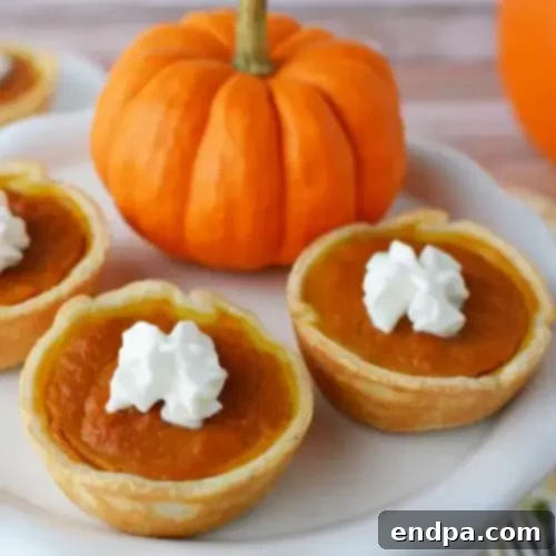 97 Effortless Autumn Delights 10 A tray of small, individual Mini Pumpkin Pies, garnished with whipped cream.