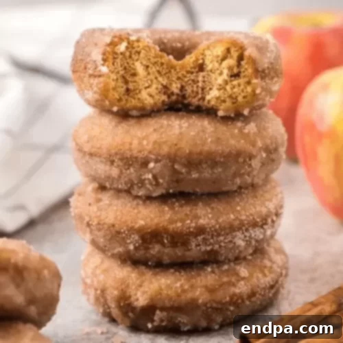 97 Effortless Autumn Delights 16 Fluffy Apple Cider Donuts, coated in cinnamon sugar.