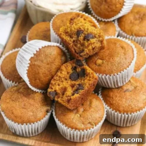 97 Effortless Autumn Delights 5 Pumpkin Chocolate Chip Muffins, freshly baked and topped with chocolate chips.