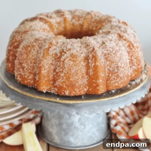 97 Effortless Autumn Delights 47 An Apple Cider Donut Bundt Cake with a cinnamon sugar glaze.