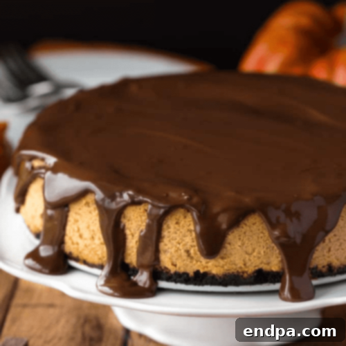 97 Effortless Autumn Delights 49 A decadent Chocolate Pumpkin Cheesecake with a shiny chocolate ganache.