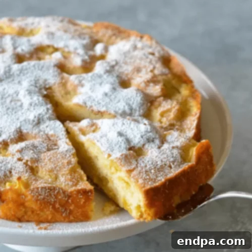 97 Effortless Autumn Delights 50 A slice of moist French Apple Cake with visible apple chunks.