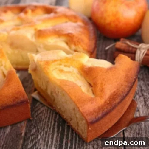 97 Effortless Autumn Delights 58 A simple yet elegant German Apple Cake, studded with apples.