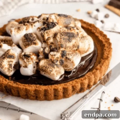 97 Effortless Autumn Delights 62 A festive S'mores Pumpkin Pie topped with toasted marshmallows.
