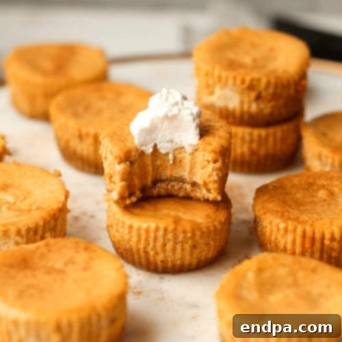 97 Effortless Autumn Delights 70 Small, individual Pumpkin Cheesecake Bites with graham cracker crust.