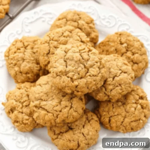 97 Effortless Autumn Delights 72 Thick and chewy Pumpkin Oatmeal Cookies, rich with fall spices.