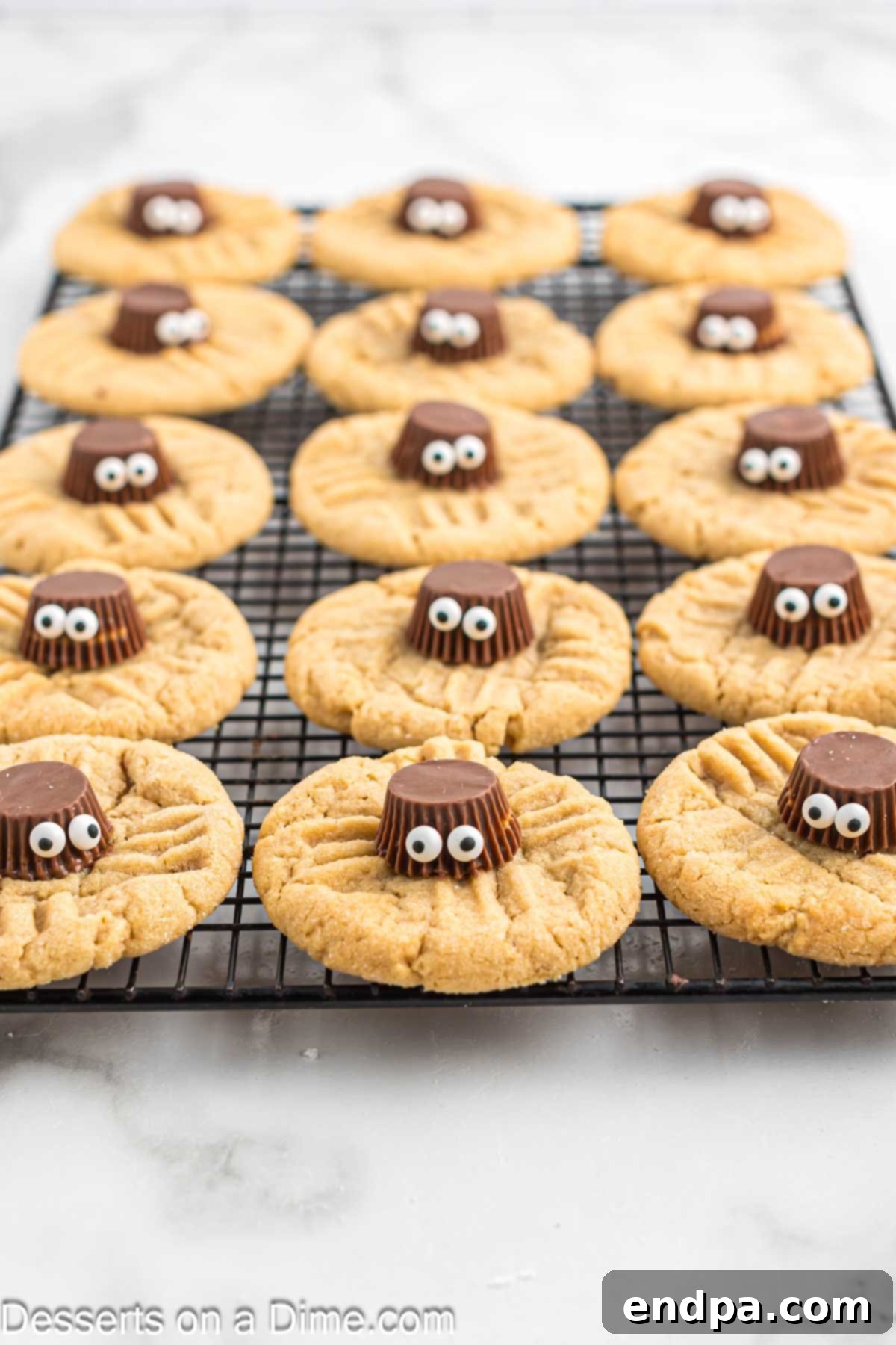 Candy eyes pressed into the melted chocolate on the Reese's cup to complete the spider's face.