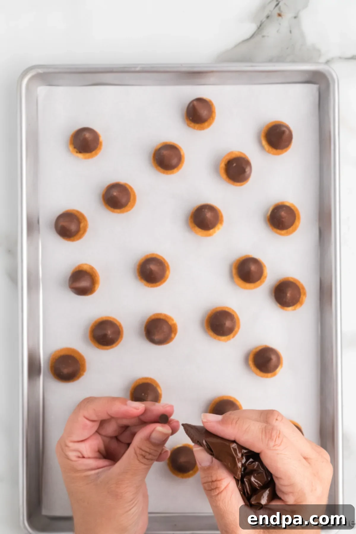 Acorn Chocolate Treasures 7 Acorns on a baking sheet ready for the freezer.