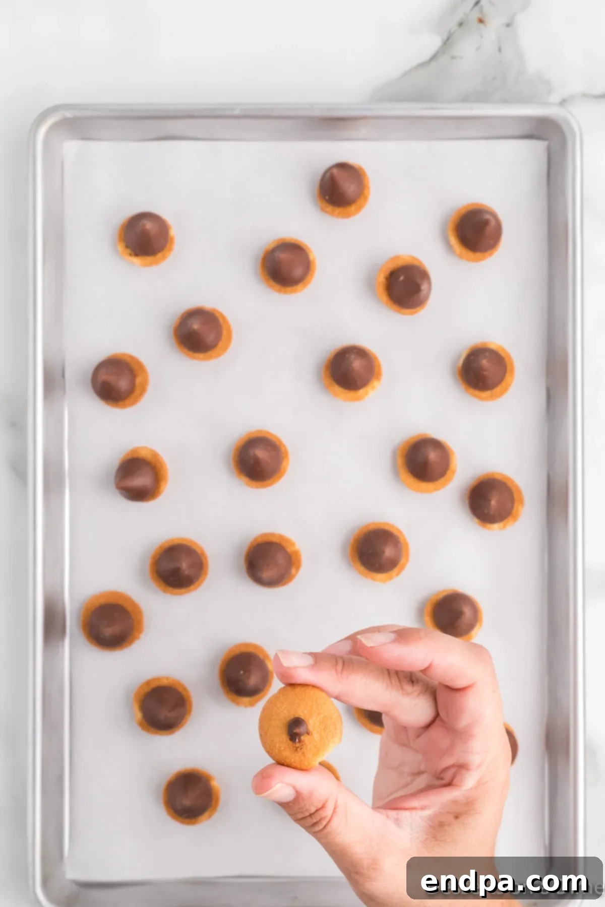 Acorn Chocolate Treasures 8 Mini chocolate chips placed on top of the cookies.