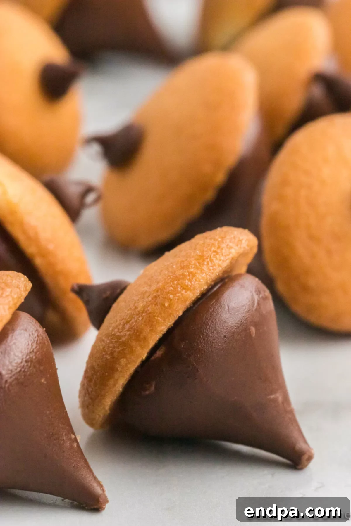 Acorn Chocolate Treasures 10 Chocolate Acorns ready to enjoy.