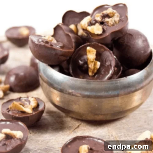 Keto Fueling Treats 8 Chocolate Walnut Keto Fat Bomb