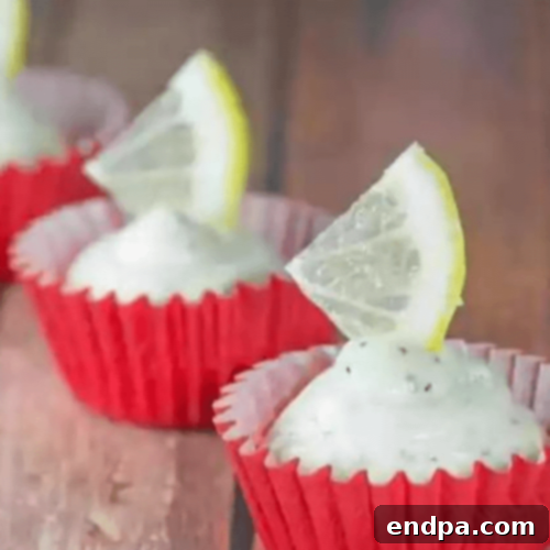 Keto Fueling Treats 22 Low Carb Lemon and Poppy Seed Fat Bomb