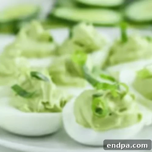 Keto Fueling Treats 32 Japanese Avocado and Egg Fat Bomb