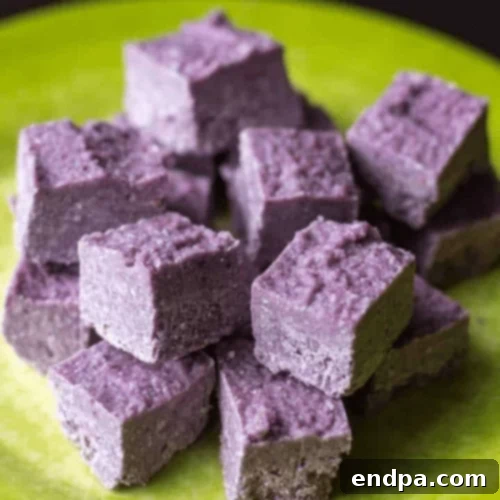 Keto Fueling Treats 39 Blackberry Coconut Fat Bomb