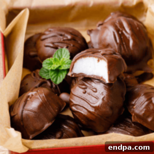 Keto Fueling Treats 46 Keto Peppermint Patty Fat Bomb