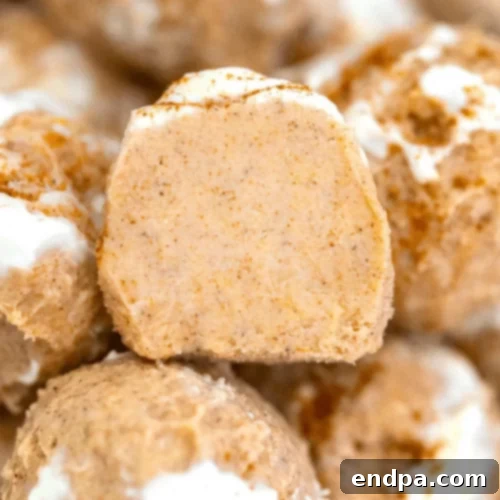 Keto Fueling Treats 68 Keto Snickerdoodle Cheesecake Fat Bomb