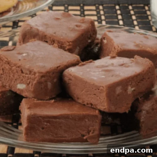 Keto Fueling Treats 77 Fudgy Macadamia Chocolate Fat Bomb