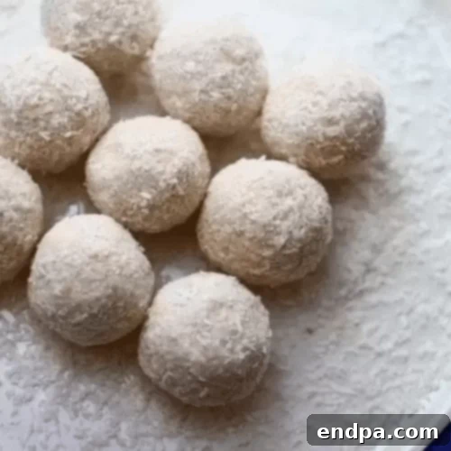 Keto Fueling Treats 78 Coconut and Cinnamon Fat Bomb