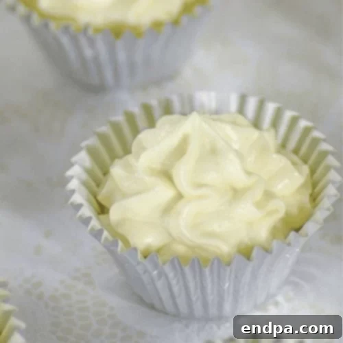 Keto Fueling Treats 79 Vanilla Cream Cheesecake Fat Bomb