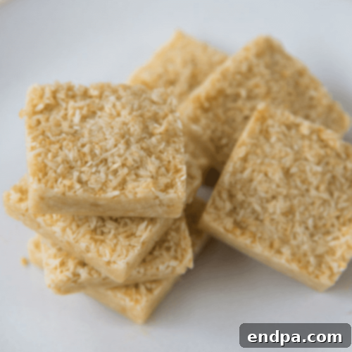 Keto Fueling Treats 80 Vanilla Toasted Coconut Fat Bomb