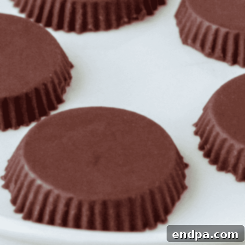 Keto Fueling Treats 81 Dark Chocolate Almond Fat Bomb