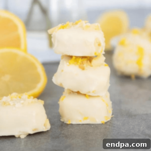 Keto Fueling Treats 88 Keto Lemon Macadamia Nut Fat Bomb