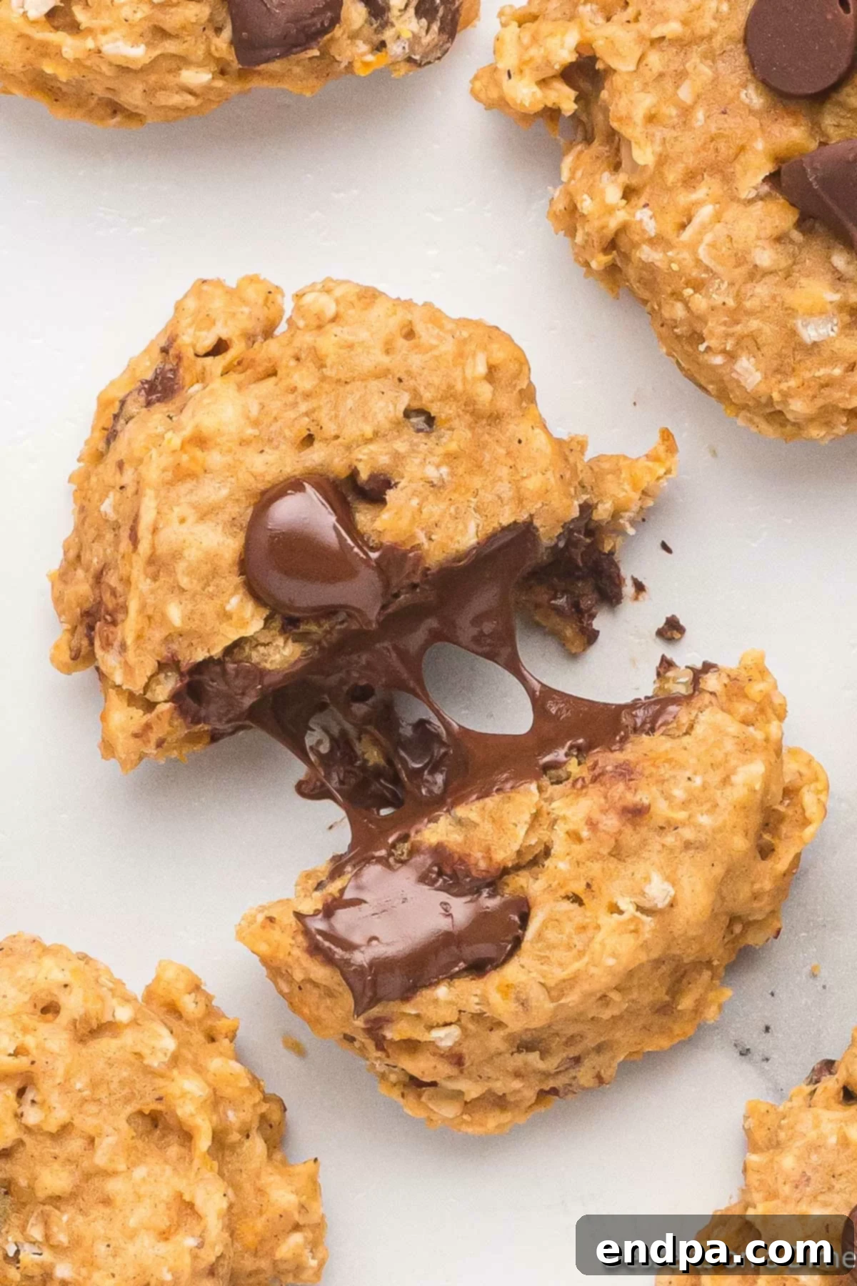 Golden Sweet Potato Cookies 14 A close-up view of a baked sweet potato cookie, showing its soft texture, chocolate chips, and a hint of a pecan piece.