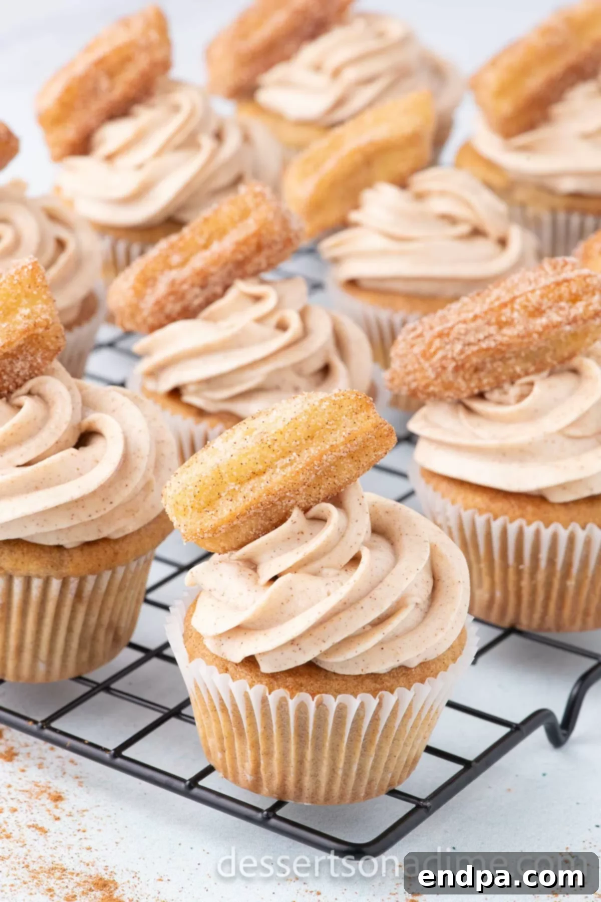 Cinnamon Sugar Swirl Cupcakes 2 Churro Cupcakes decorated and ready to enjoy.